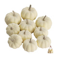 Artgar Pumpkin Decor - White Pumpkin - 10 PCS Mini Pumpkins Harvest Set