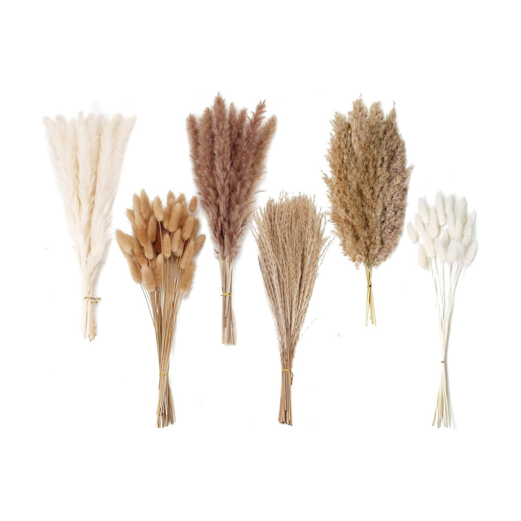 Dried Pampas Grass Decor, 120 PCS Pampas Grass with Bunny Tails Dried Flowers, Reed Grass Bouquet for Wedding, Boho Flowers, Home Table Decor, Rustic Farmhouse Party (White and Brown)