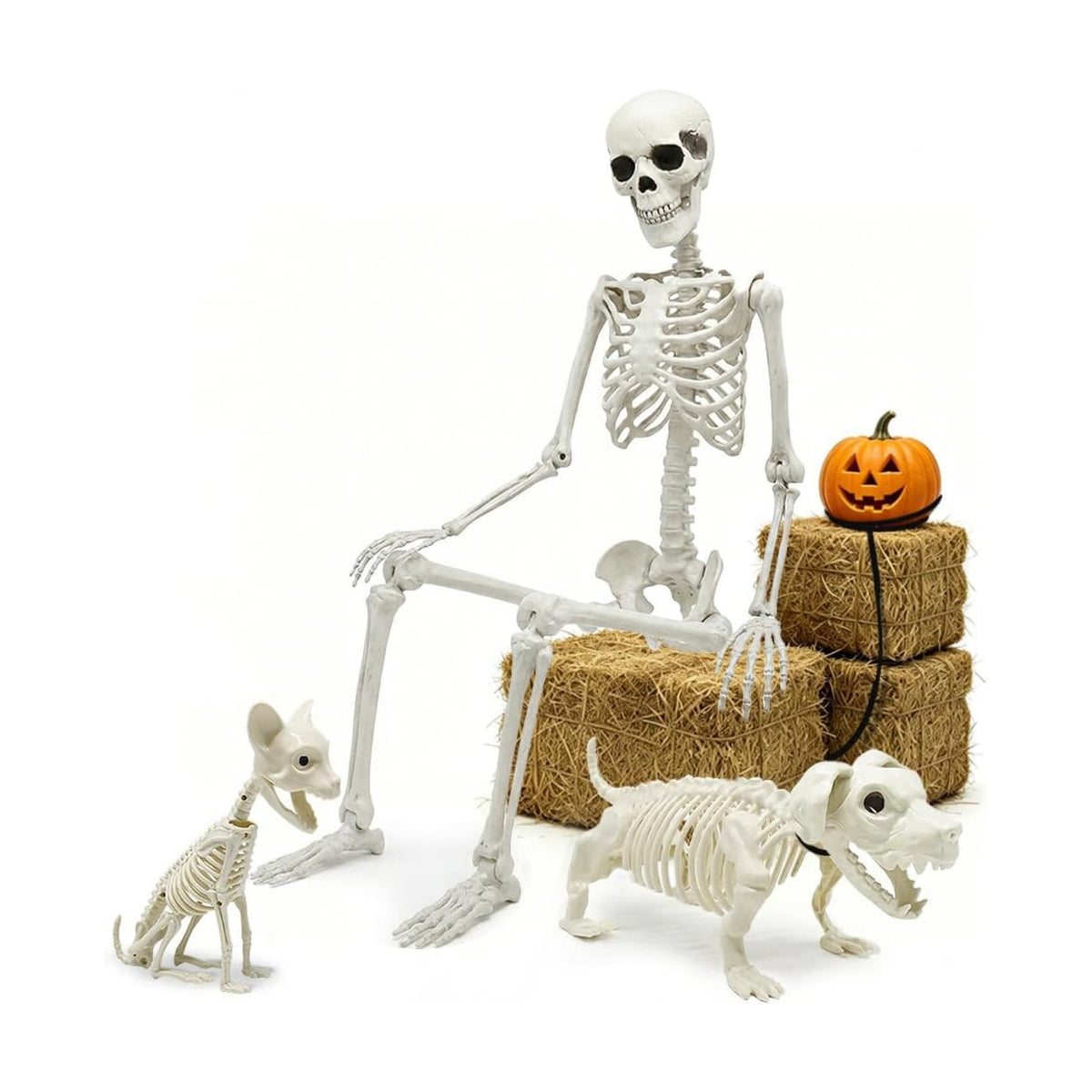 5.4ft Halloween Full Size Skeleton with Dog Cat for Haunted Party Decor