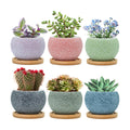 3 inch Ceramic pots for Plants, Small Succulent Pots Set with Drainage, 6 Pack Flower Pot for Indoor Plant, Planters