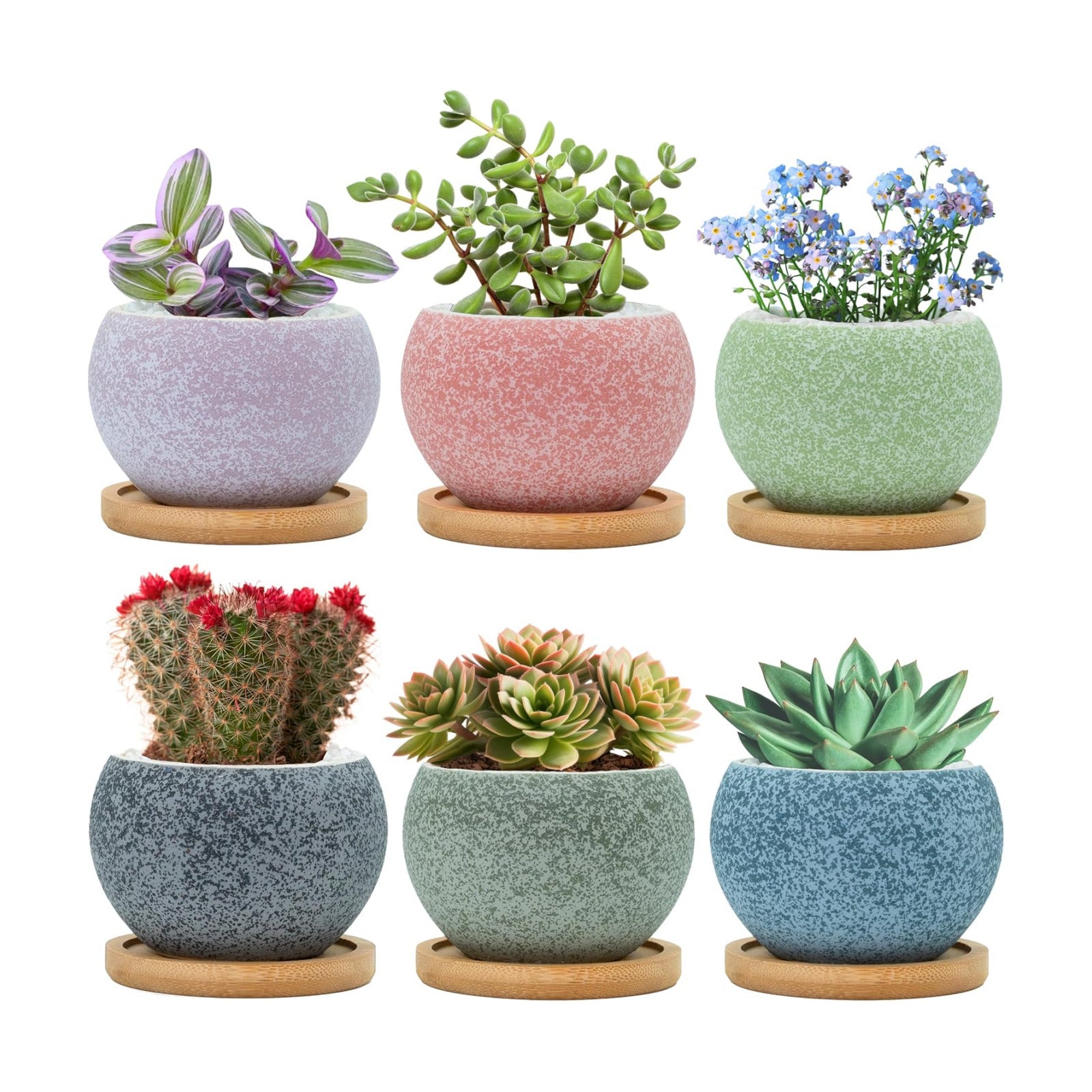 3 inch Ceramic pots for Plants, Small Succulent Pots Set with Drainage, 6 Pack Flower Pot for Indoor Plant, Planters