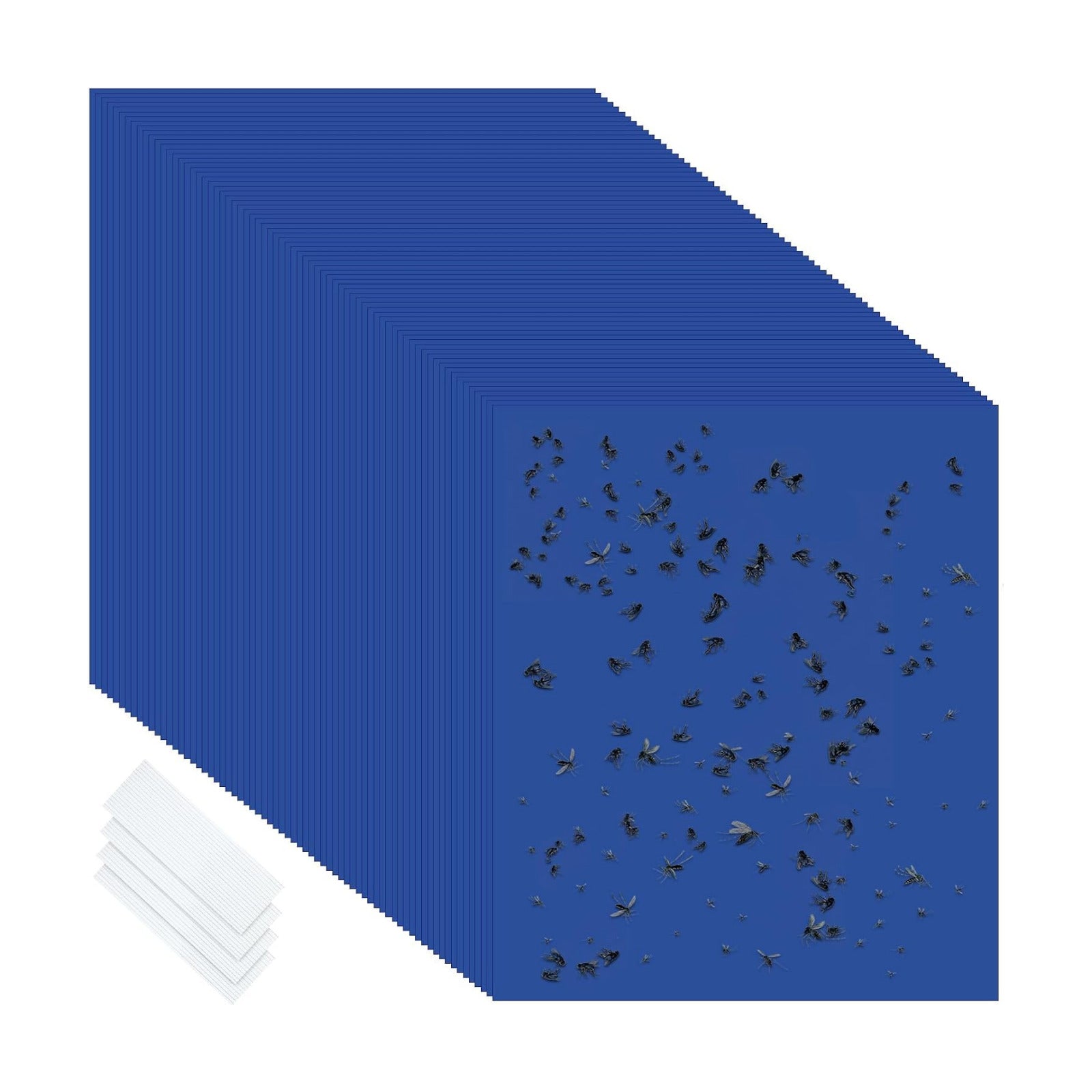 Qualirey 150 Pcs Yellow Sticky Traps 6x8in for Gnats Indoor | Dual-sided for Fungus Gnats Fruit Flies Whiteflies