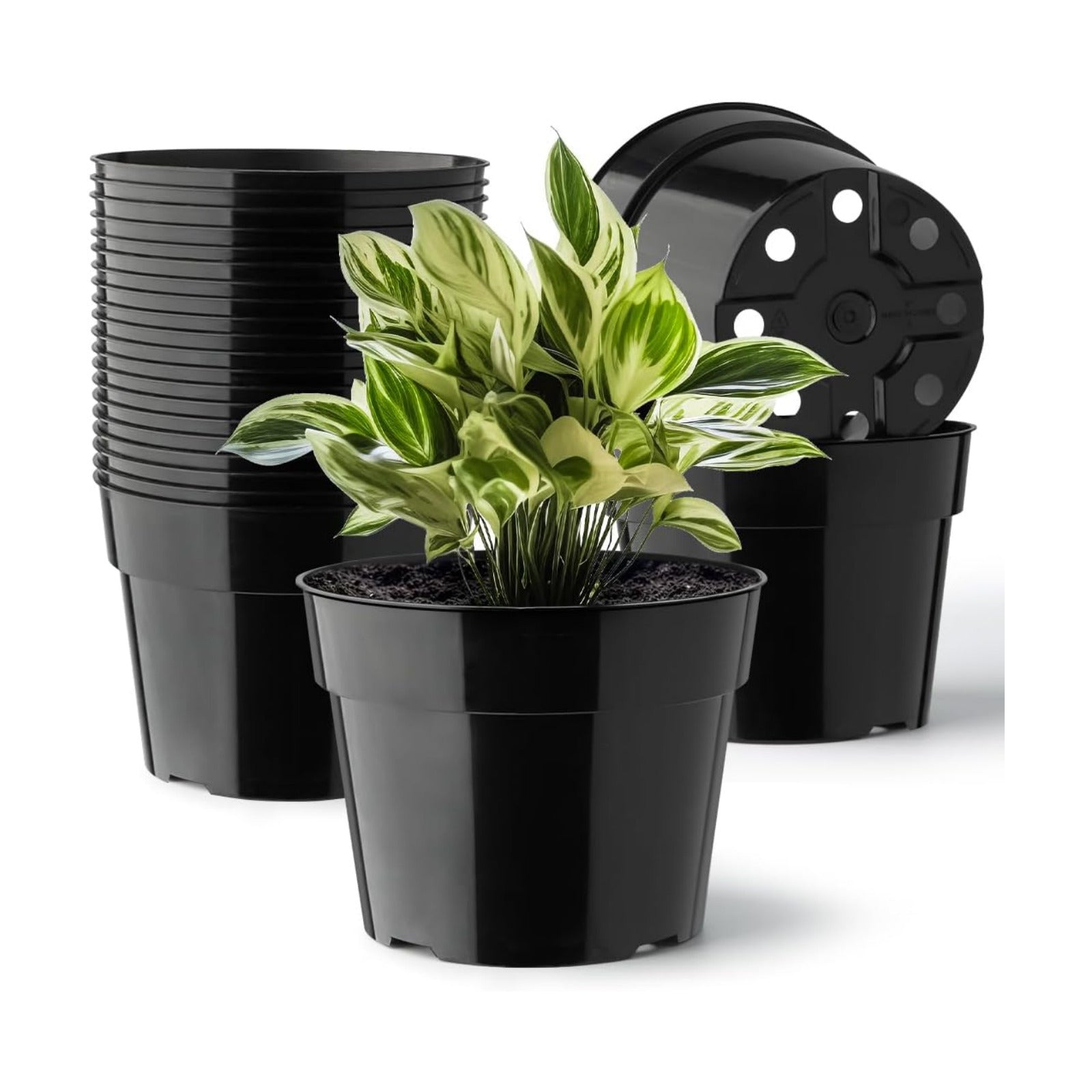 RooTrimmer 20 Pack Plant Pots, 6 Inch Plastic Plant Planter with Saucers and Mesh Mats, Durable Flower Pots with