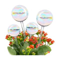 Tomorotec Glass Plant Watering Globes, Self Watering Spikes 2 Large+2 Small | Handcrafted Automatic Irrigation Spikes