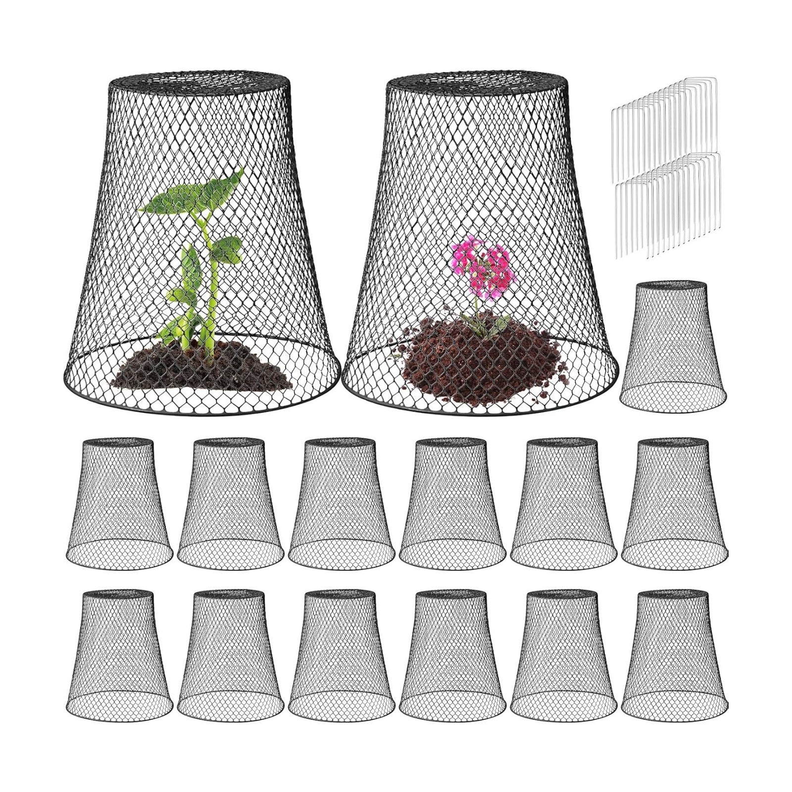 Therwen 15 Pcs Large Plant Wire Cloche 11 x 12 Inch Metal Garden Cloche with Garden Stakes Plant Protector from Animals