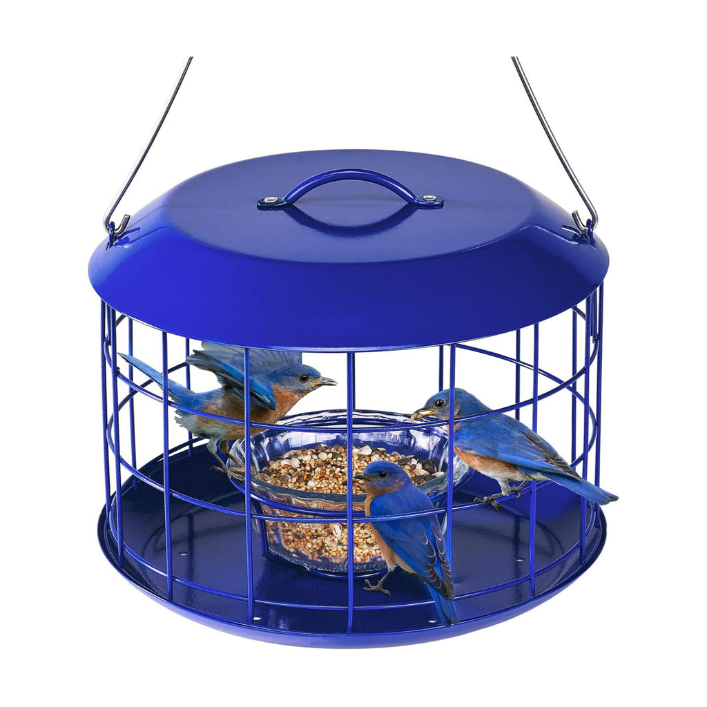 Kingsyard Bluebird Feeders for Outdoors Hanging