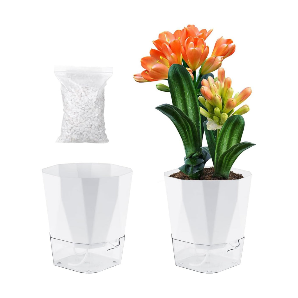 2 Pack Self Watering Pots for Indoor Plants, 8.4 Inches Self Watering Planters Large African Violet Self Watering Clear