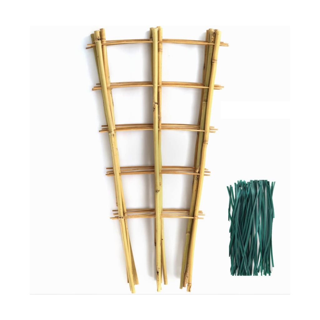 SWANGSA 6 Pack Bamboo Trellis 24 Inches for Climbing Plants, Fan-Shaped Bamboo Plant Trellis Cucumber Tomato Trellis