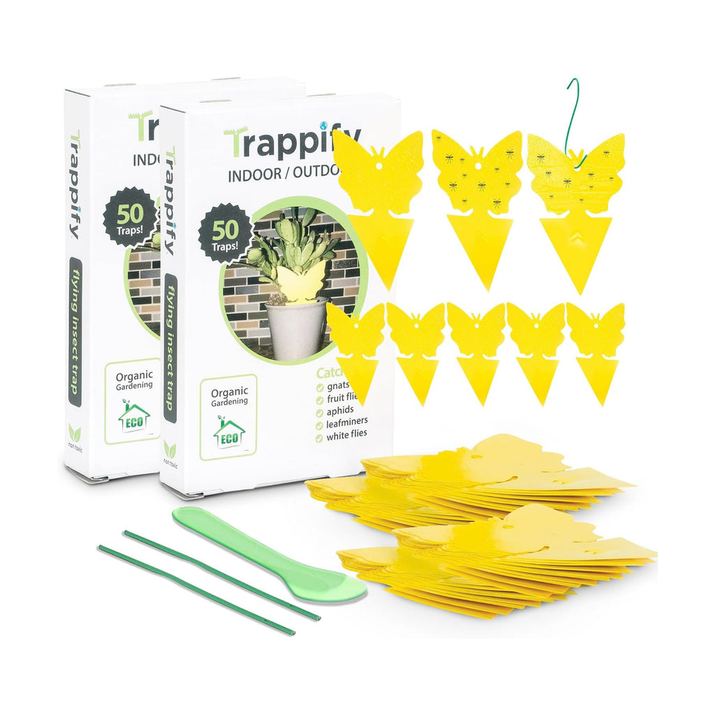 Trappify Gnat Traps for House Indoor and Outdoor | Fruit Fly Trap 100 Pack | Yellow color draws gnats to double-sided