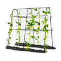 Cucumber Trellis for Raised Bed, 63" Hx63 L, Black | Garden Arch Trellis for Climbing Plants Outdoor, Rustproof Metal