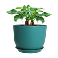 UOUZ 12inch Large Plant Pot, Modern Plastic Planter with High Driange Holes and Saucer for Indoor Outdoor Garden Plants