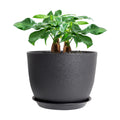 UOUZ 12inch Large Plant Pot, Modern Plastic Planter with High Driange Holes and Saucer for Indoor Outdoor Garden Plants