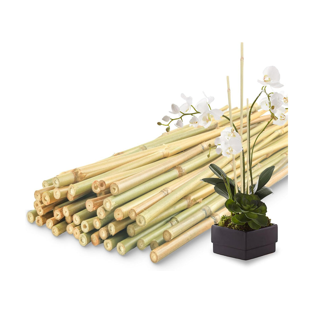 50Pcs / 2ft Bamboo Plant Stakes for Indoor Outdoor Plants, Garden Plant Support Sticks, Poles for Tomato Vegetables