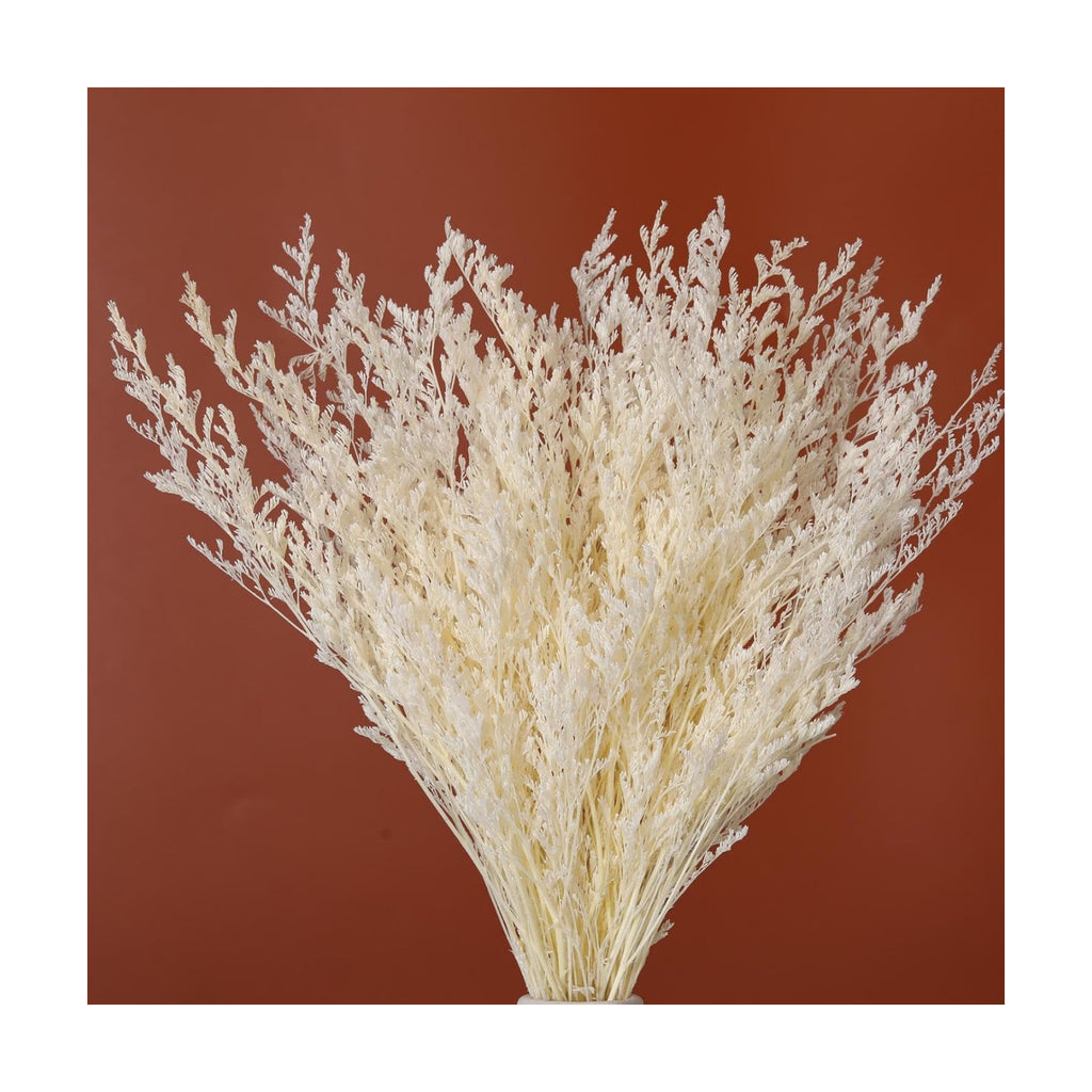 Dried Flower Bouquet, 17'' Dry White Caspia Flowers Bundle for Vase Decor