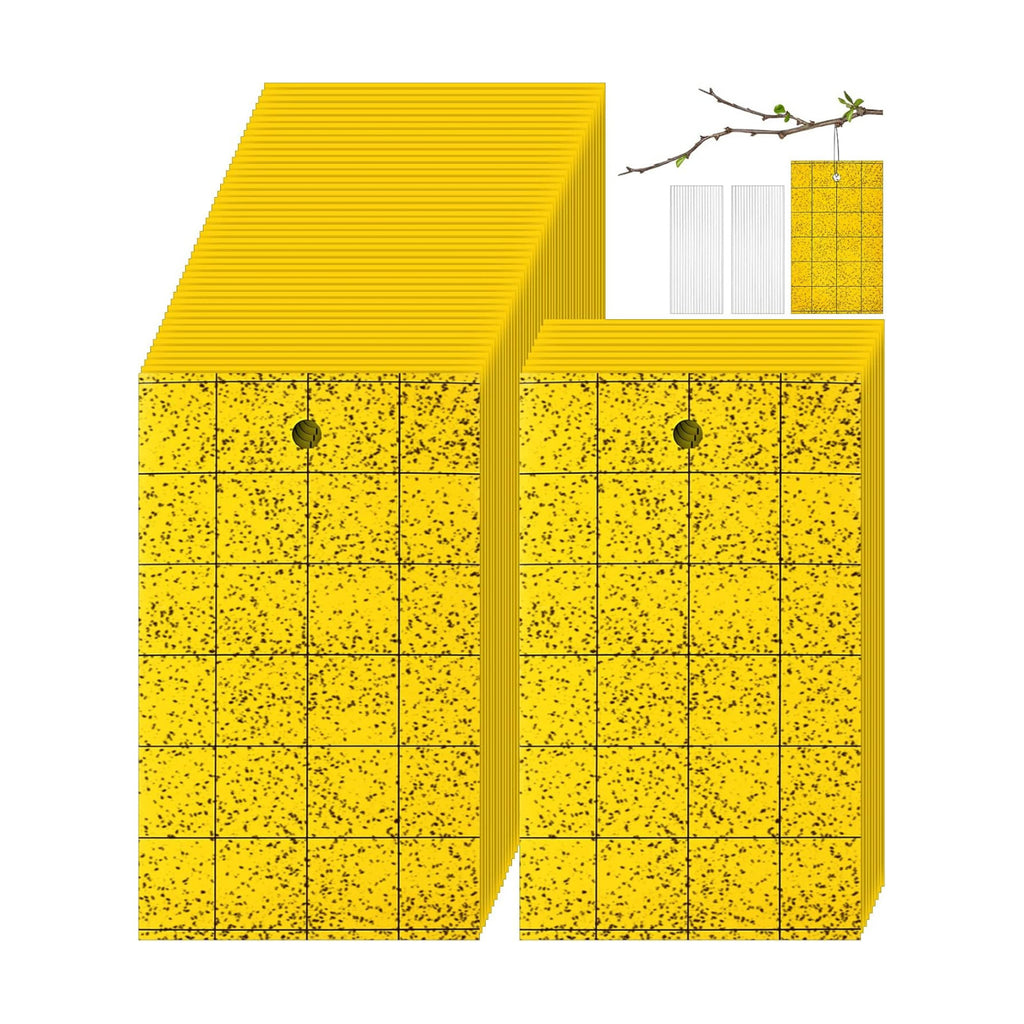 Qualirey 300 Sticky Trap for Gnats 3 x 5'' Dual Side Sticky Fruit Fly Trap with Tie Plant for Flying Insect Fungus Bugs