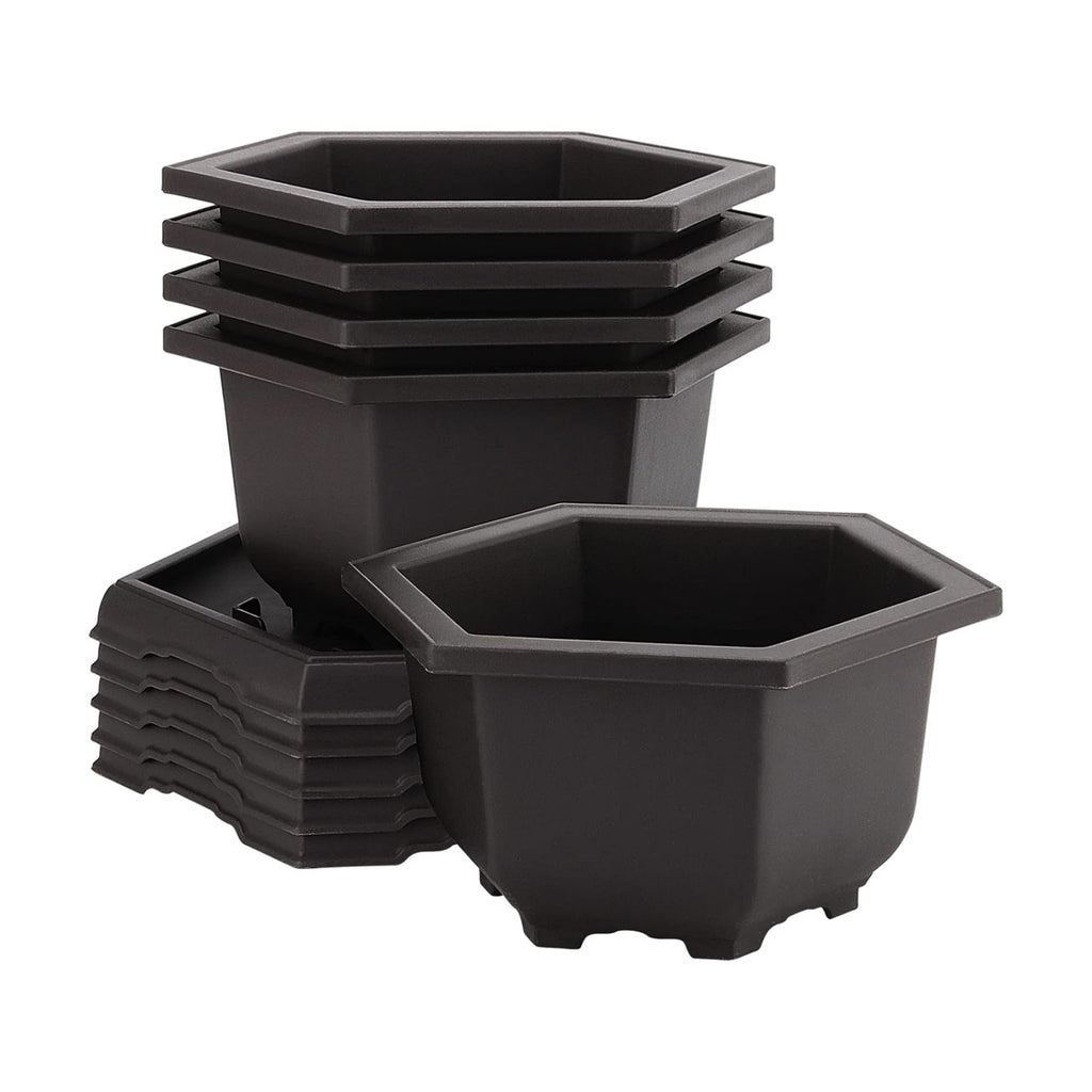 5 Pack Bonsai Pots, Hexagon Built in Mesh Plastic Bonsai Training Pots with Trays, Plant Flower Tree Growing Bonsai
