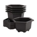 5 Pack Bonsai Pots, Hexagon Built in Mesh Plastic Bonsai Training Pots with Trays, Plant Flower Tree Growing Bonsai