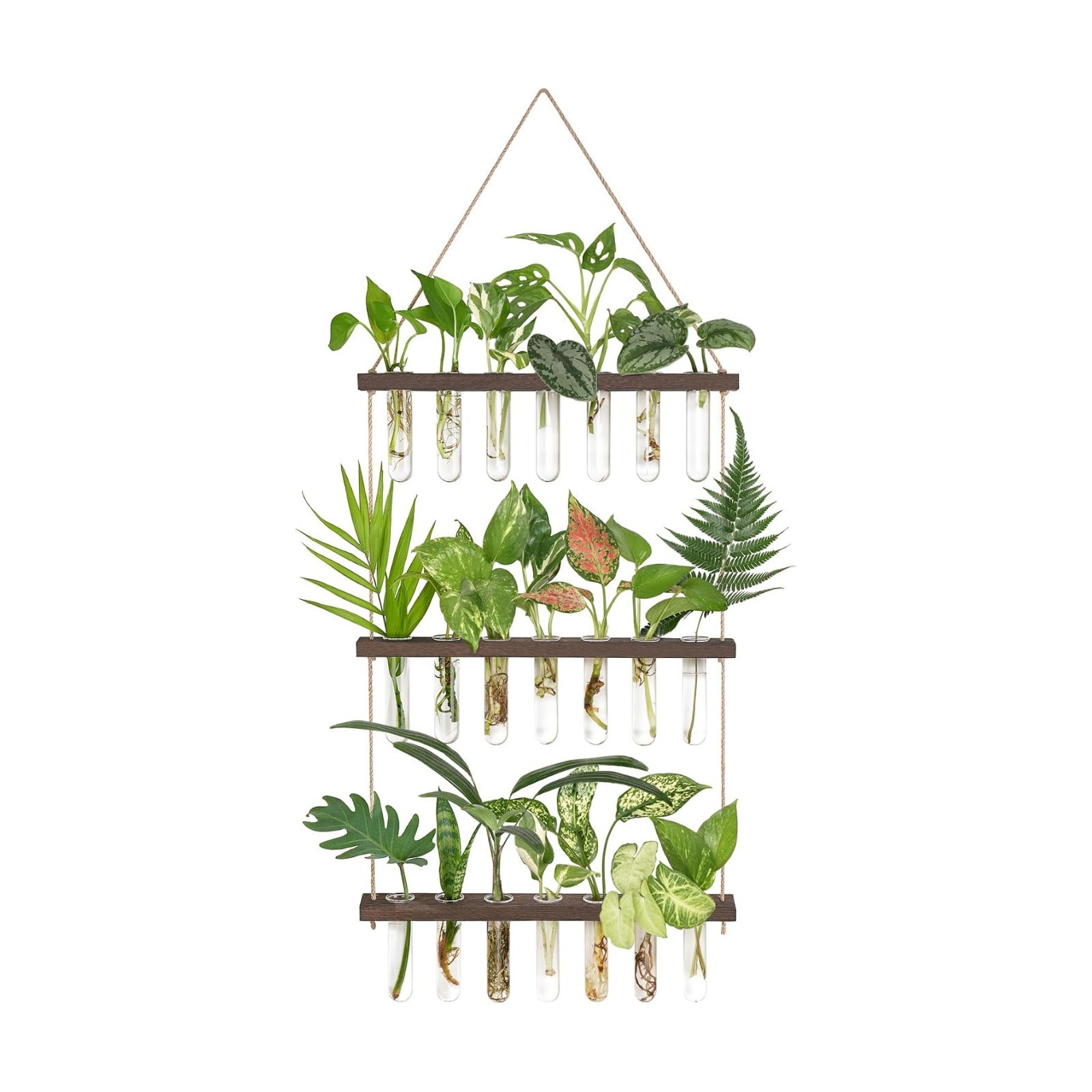 Mkono Plant Propagation Station, 3 Tier Large Brown Wall Hanging Vase Tubes | Glass Terrarium Planter,Wooden Stand,for