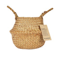Small Plant Basket, Natural Woven Seagrass Planter
