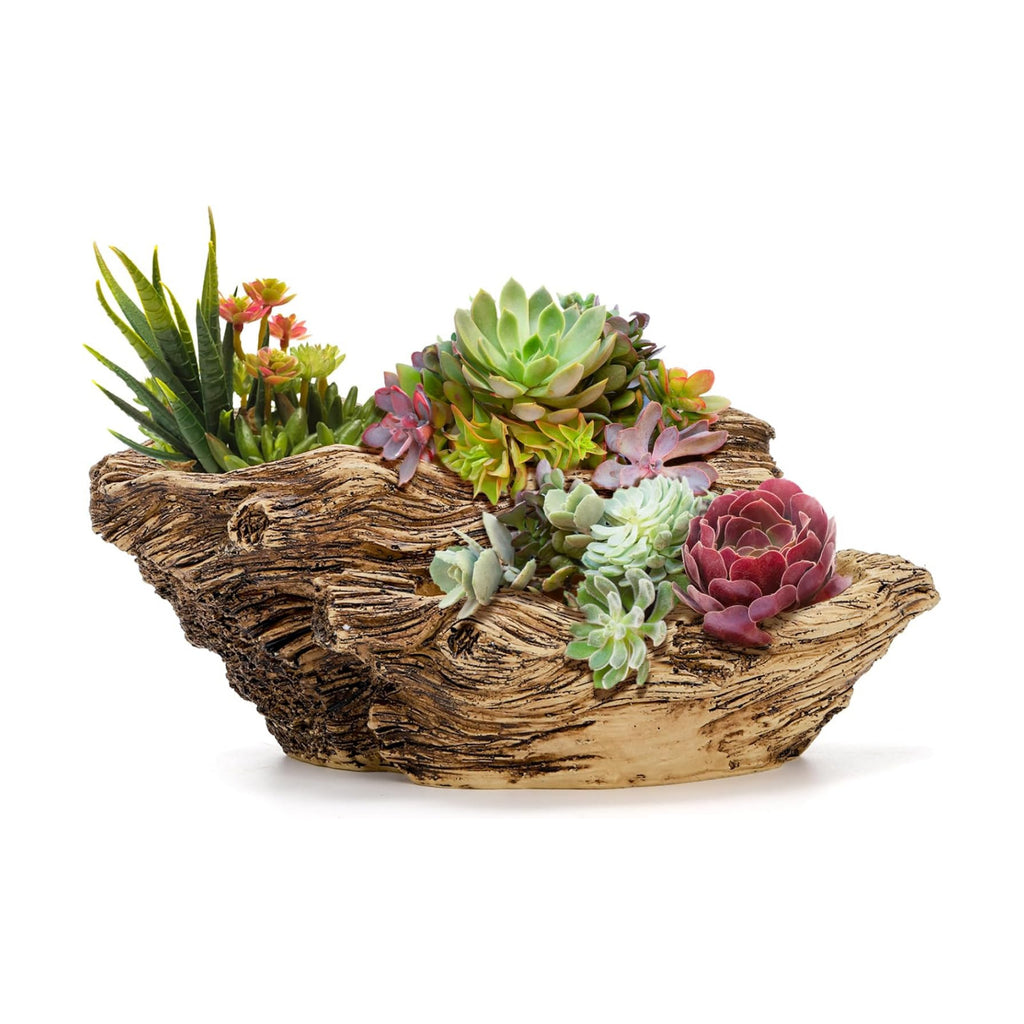 Noamus Artificial Driftwood Planter, Sculpture Resin Succulent Flower Pot, Imitation Wood Pile Porous Bonsai Tree Plant