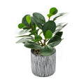 AlphaAcc Fake Plant 8" Black Clay Planter Farmhouse Bath Kitchen Decor