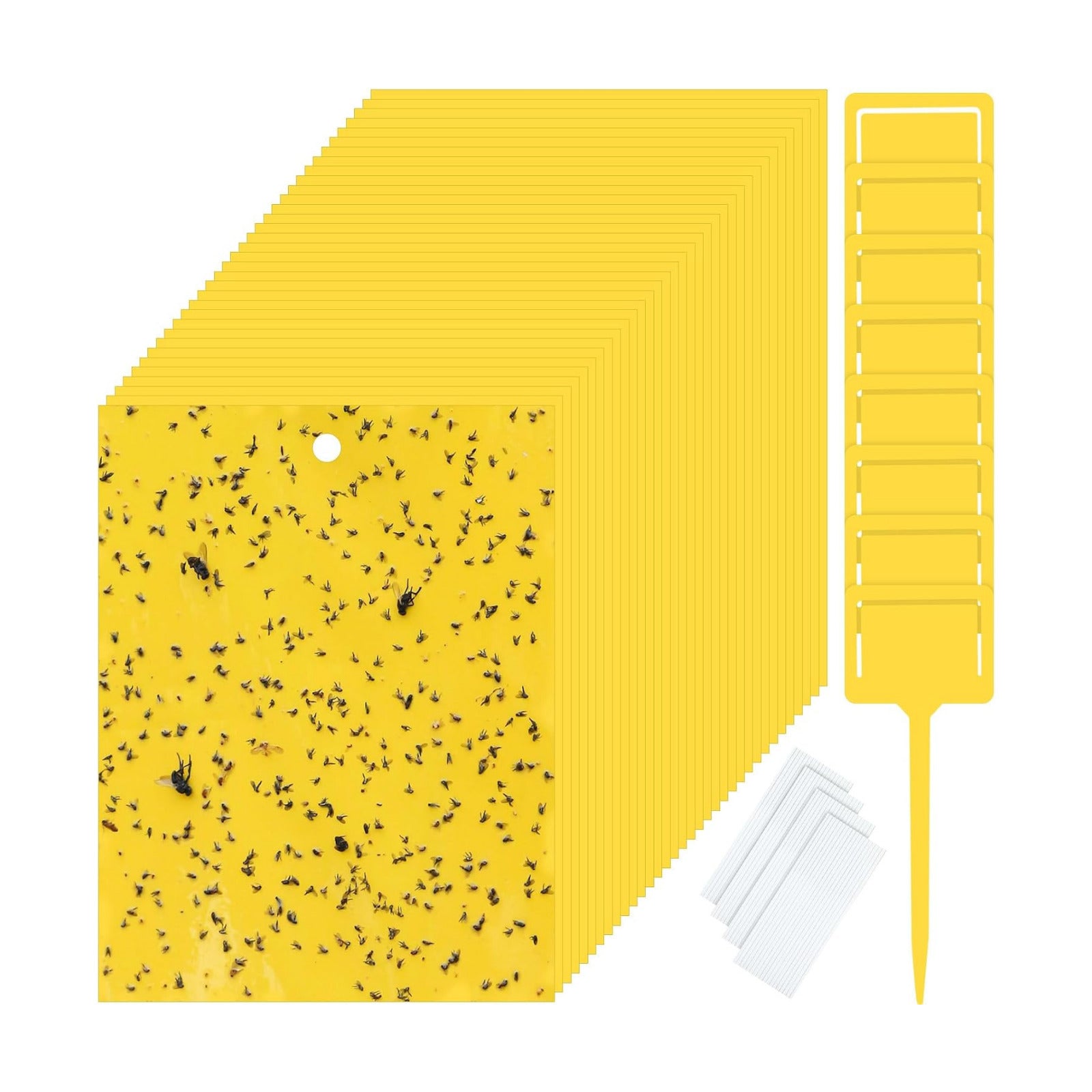Qualirey 200 Pcs 6 x 8 in Yellow Sticky Traps for Gnats Plant Insect Trap | Dual Sided Strong Sticky, Fungus Fruit