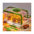 Kids Plant Growing Kit, Kids Gardening Greenhouse Growing Kit with Drip Irrigation and Grow Lights, Science STEM Toys