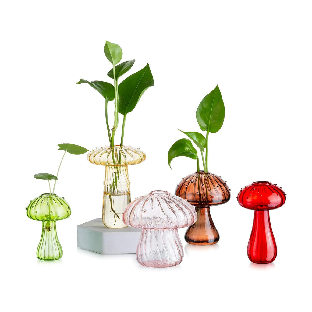 Glasseam Mushroom Plant Propagation Station: 5 Pcs Glass Mini Terrarium | Colored, Small Hydroponic Planter, Cute