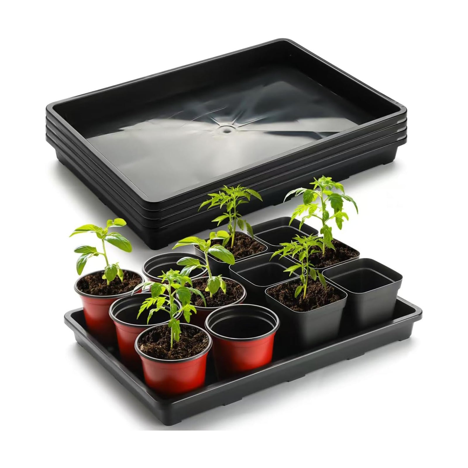 RooTrimmer 5 Pack Nursery Potting Tray, Carrying and Holding Plant Tray for Seeds Starting Pot, Collecting Drainage