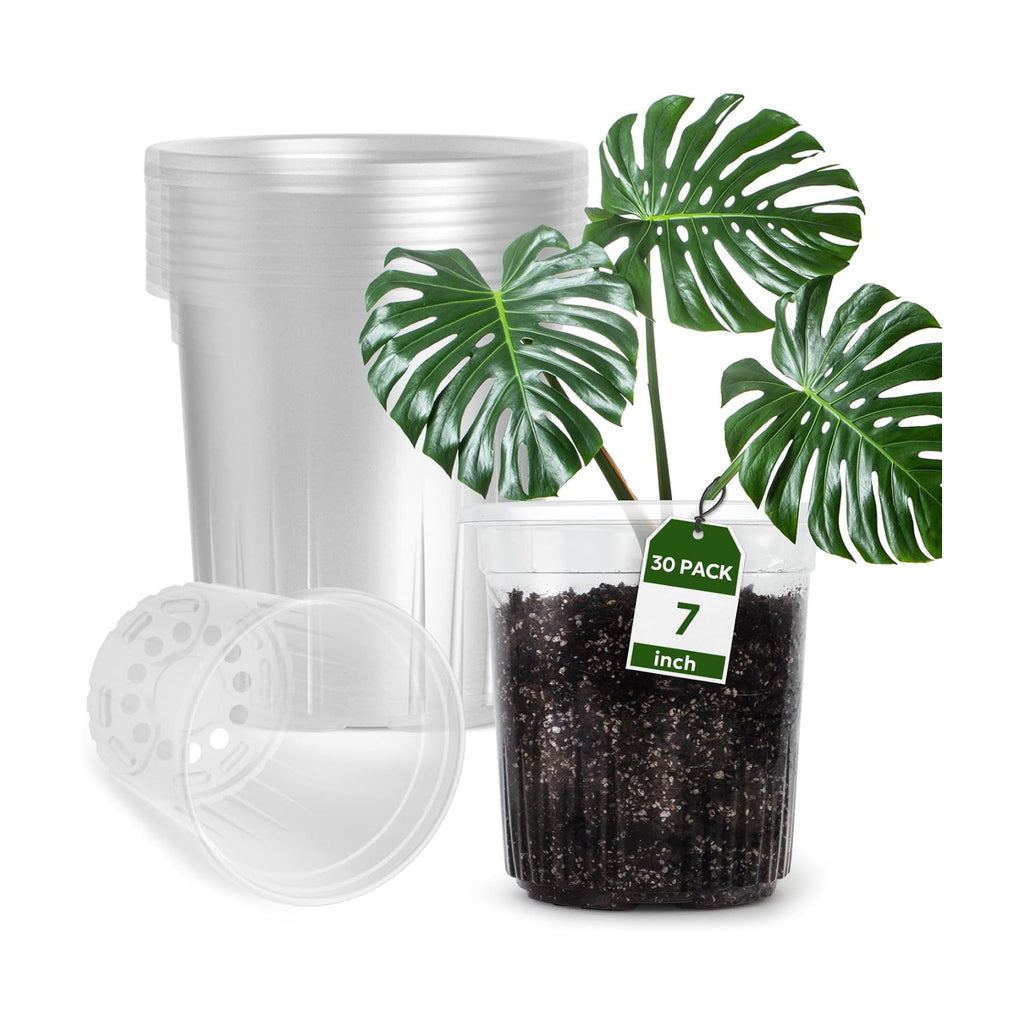 Bluepro Clear Nursery Pots with Drainage Holes, 7 Inch, 1 Gallon, 30-Pack | Clear PET, 1-Gallon Capacity, Root and