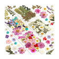 Dried Flowers, Resiners 100Pcs Pressed Flowers for Craft