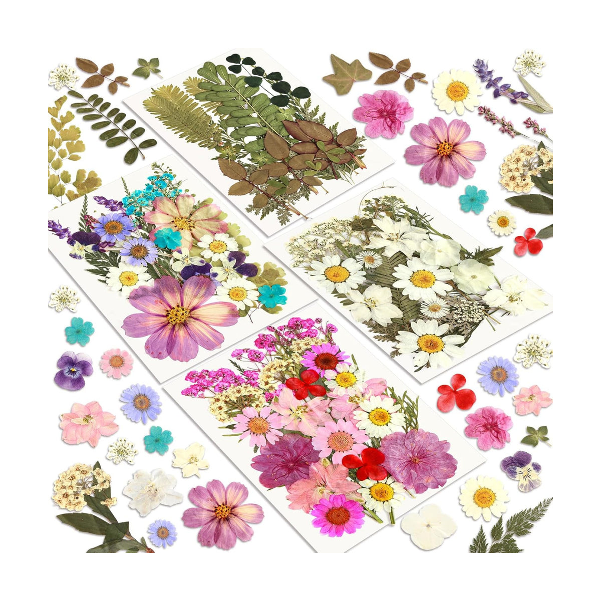 Dried Flowers, Resiners 100Pcs Pressed Flowers for Craft