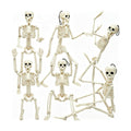 6 Packs Halloween Skeletons, 16 Inch Posable Skeletons for Halloween Props
