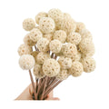 30 PCS Natural Dried White Craspedia Billy Balls Flowers, 17'' Real Plants