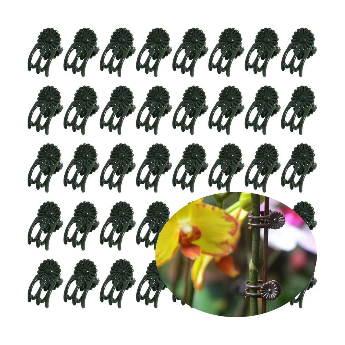 Orchid Clips for Plants Support (100, Green) for Small - Middle Climbing Plants Vine Plants & Single Stem Plants