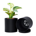 D'vine Dev 2-Pack Black Plastic Planters with Saucers, 6 in, 74-Y-J-1 | Lightweight Durable Build, Matte Finish