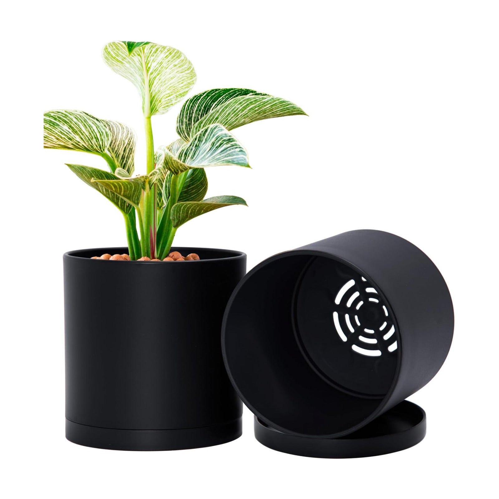 D'vine Dev 2-Pack Black Plastic Planters with Saucers, 6 in, 74-Y-J-1 | Lightweight Durable Build, Matte Finish