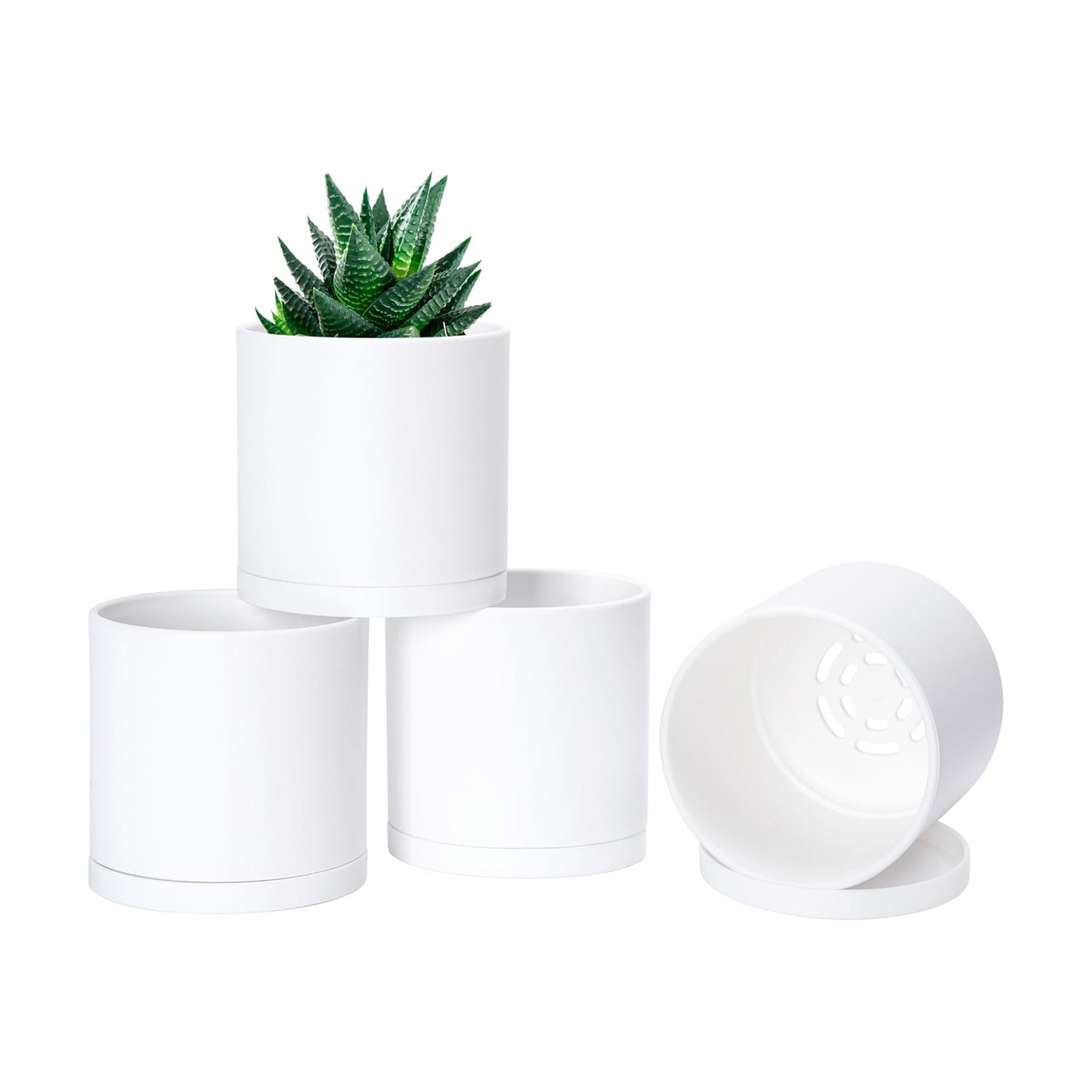 D'vine Dev 4-Pack White Plastic Planters with Saucers, 4 in, 74-Z-E-2 | Lightweight Durable Build, Matte Finish