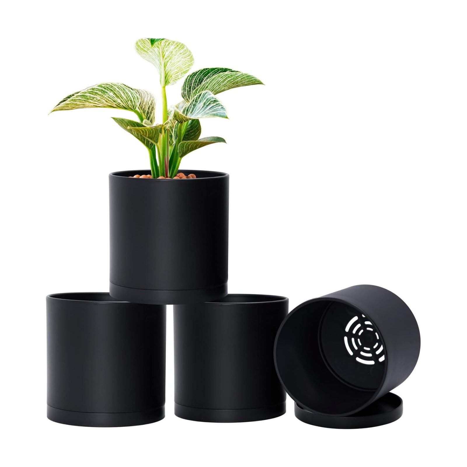 D'vine Dev 4-Pack Black Plastic Planters with Saucers, 6 in, 74-Y-J-2 | Lightweight Durable Build, Matte Finish