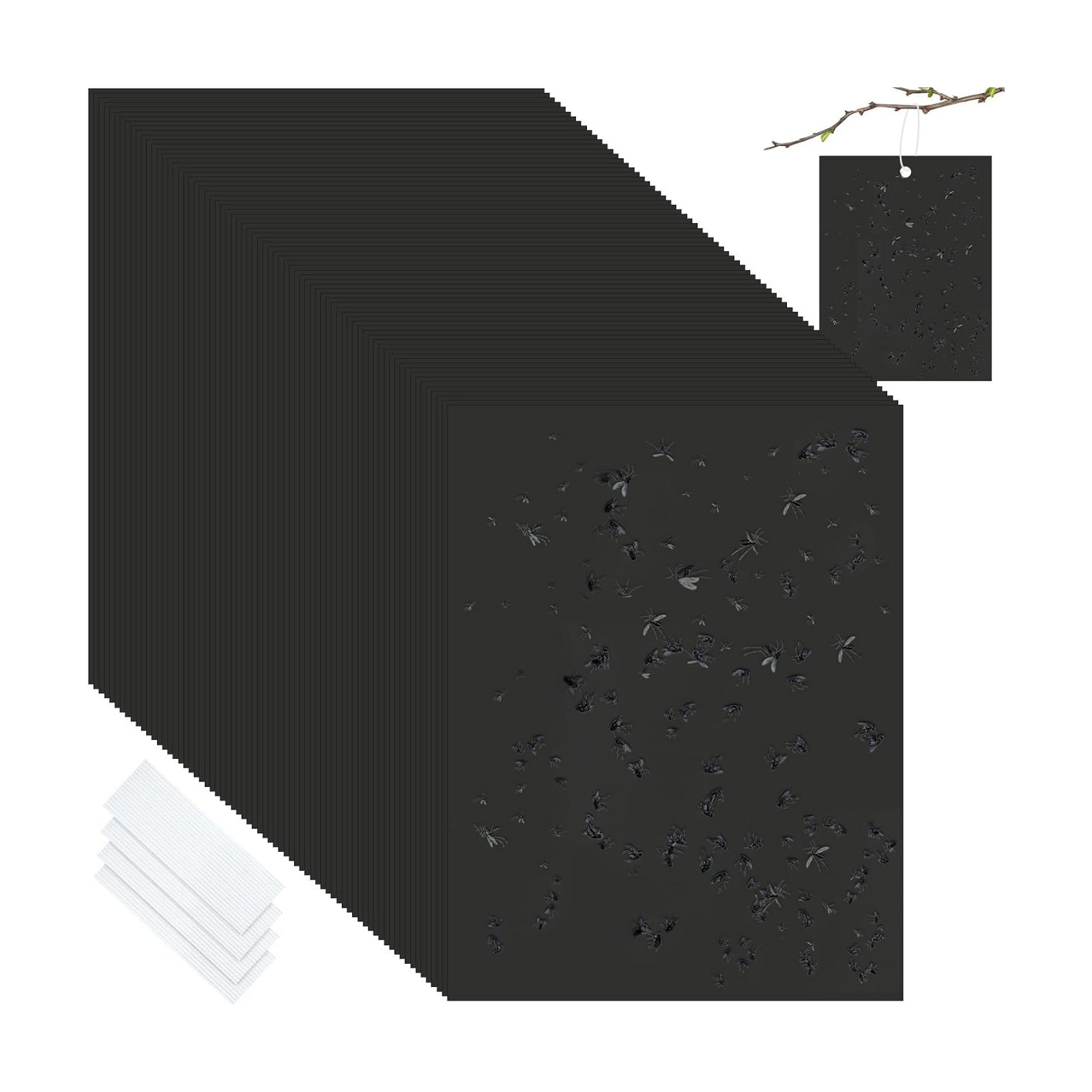 Qualirey 50 Pcs Sky Blue Sticky Traps 6x8in for Gnats Indoor | Dual-sided for Fungus Gnats Fruit Flies Whiteflies