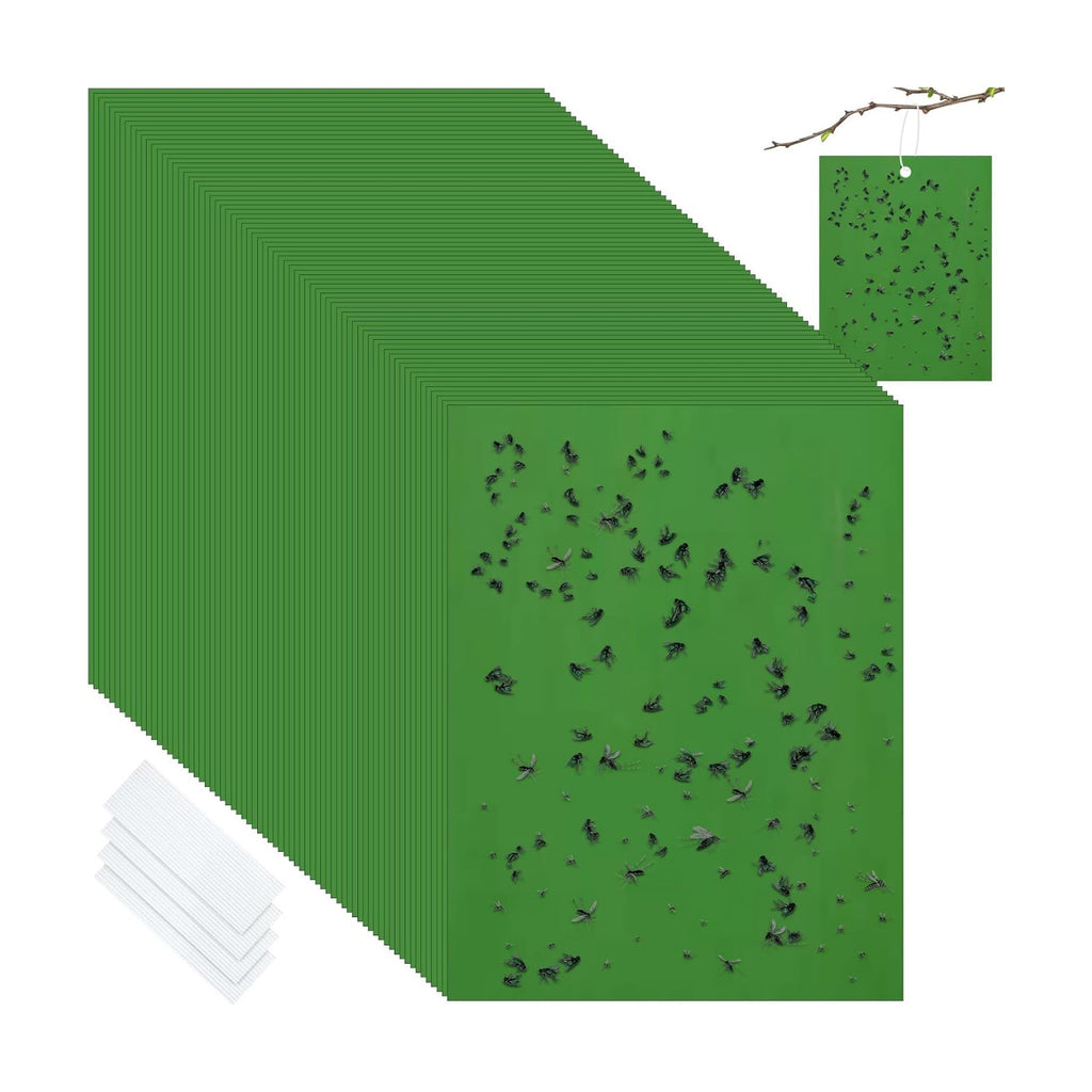 Qualirey 50 Pcs Yellow Sticky Traps 6x8in for Gnats Indoor | Dual-sided for Fungus Gnats Fruit Flies Whiteflies Thrips