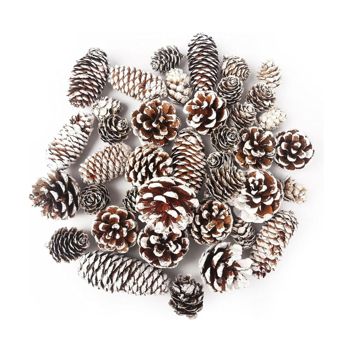 DOMESTAR 40 PCS Snow Pine Cones for Crafts, Natural Cones Bowl Fillers