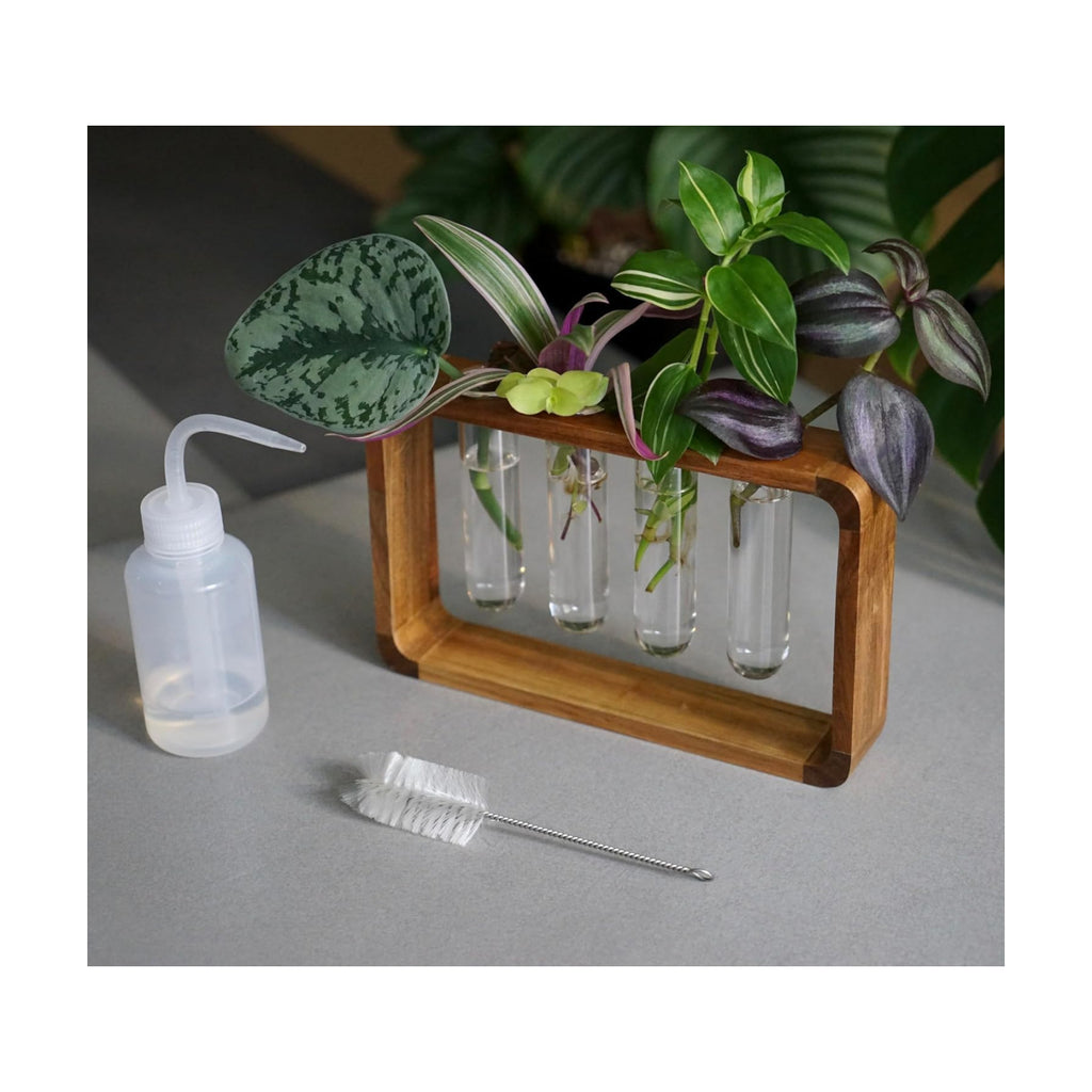Source & Plot Plant Propagation Station - Acacia Wood Stand with 4 Glass Test Tubes, Tabletop Hydroponic Terrarium