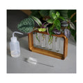 Source & Plot Plant Propagation Station - Acacia Wood Stand with 4 Glass Test Tubes, Tabletop Hydroponic Terrarium