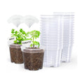 homenote 4 Inch Clear Nursery Pots with Drainage Holes for Plants (30 Pcs)