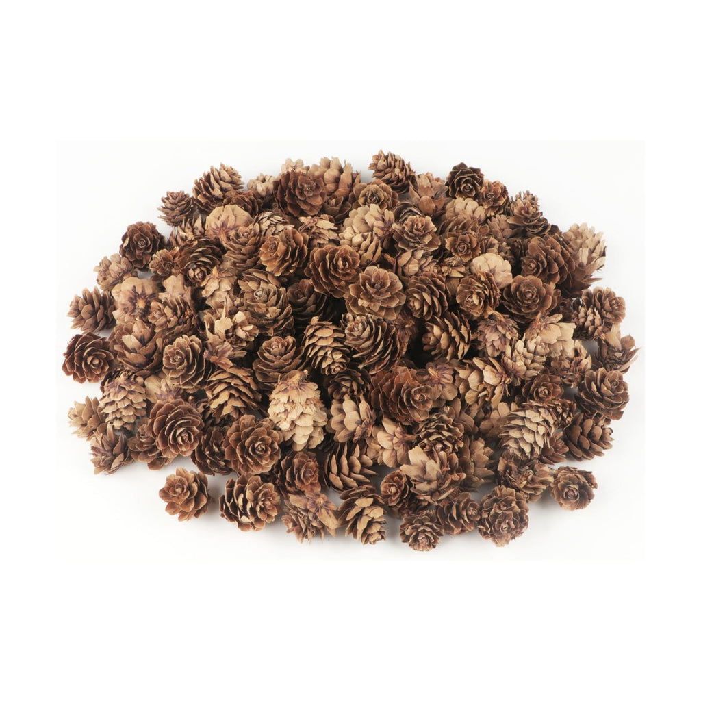 Jangostor 120 PCS Pine Cones Decorations, Natural Pine Cones Bulk - Mini Pine Cones Christmas Pine Cones for Table Christmas Tree Crafts Gifts Thanksgiving Fall and Xmas Home Decor