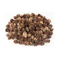 Jangostor 120 PCS Pine Cones Decorations, Natural Pine Cones Bulk - Mini Pine Cones Christmas Pine Cones for Table Christmas Tree Crafts Gifts Thanksgiving Fall and Xmas Home Decor