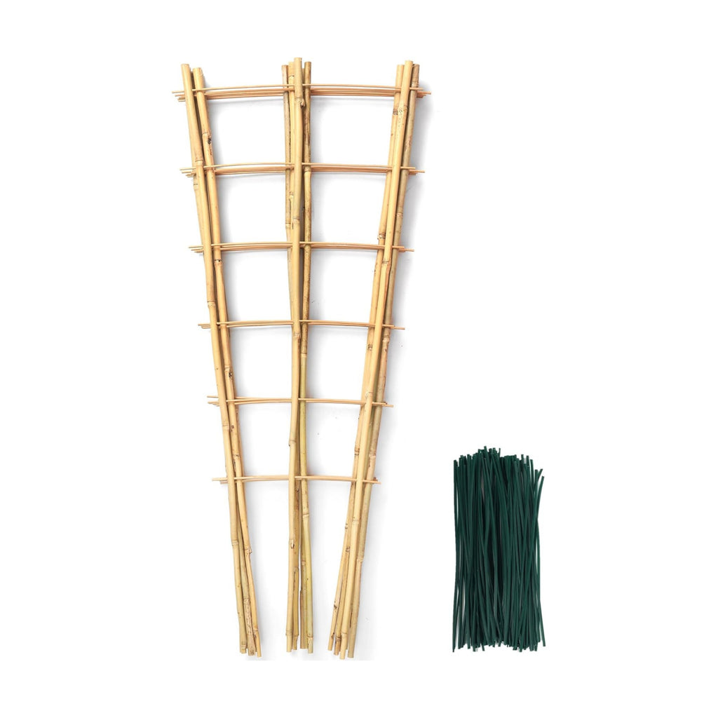 SWANGSA 6 Pack 3Ft Bamboo Trellis for Climbing Plants,35.5 Inch Fan-Shaped Bamboo Plant Trellis with 100pcs Twist Ties