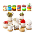 12 Pcs 2.5 Inch Mini Succulent Pots with Bamboo Tray White Ceramic Pots Color Your Own DIY Small Planters Containers