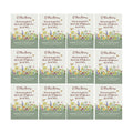 Pop's Birding Hummingbird & Butterfly Wildflower Seed Mix (12-Pack)